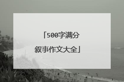 500字满分叙事作文大全