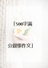 500字满分叙事作文