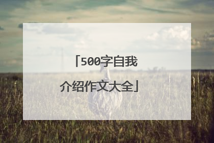 500字自我介绍作文大全