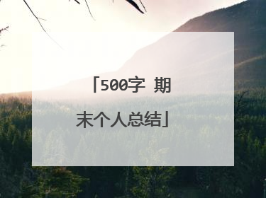 500字 期末个人总结