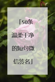 50条温柔干净的短句微信签名