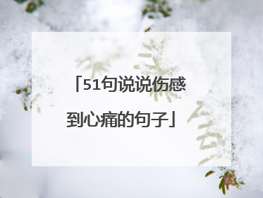 51句说说伤感到心痛的句子