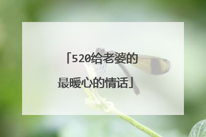 520给老婆的最暖心的情话
