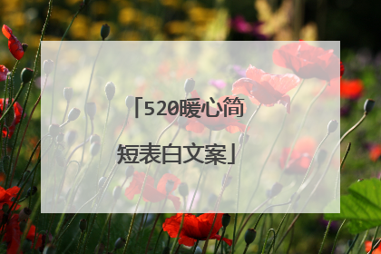 520暖心简短表白文案