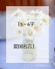 5～6字爱国名言