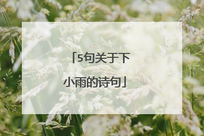 5句关于下小雨的诗句
