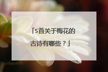 5首关于梅花的古诗有哪些？