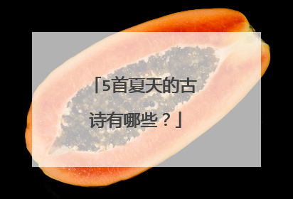5首夏天的古诗有哪些？