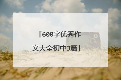 600字优秀作文大全初中3篇