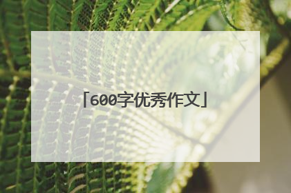 600字优秀作文