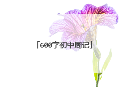 600字初中周记