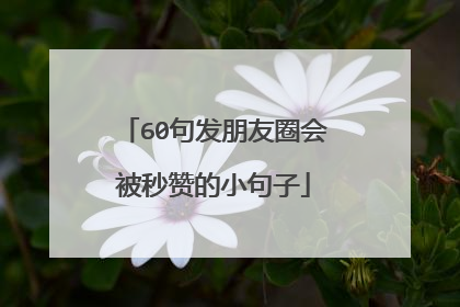 60句发朋友圈会被秒赞的小句子