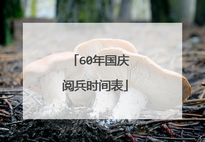 60年国庆阅兵时间表