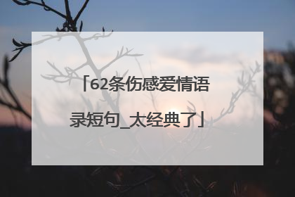 62条伤感爱情语录短句_太经典了