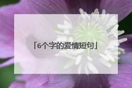 6个字的爱情短句