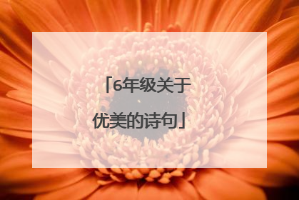 6年级关于优美的诗句