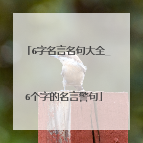 6字名言名句大全_6个字的名言警句