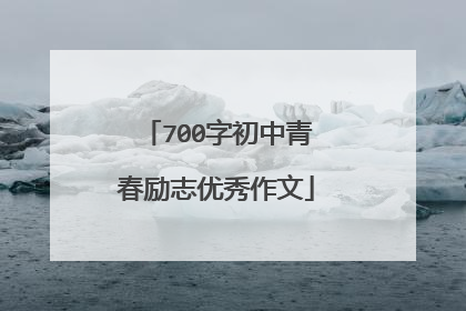 700字初中青春励志优秀作文