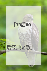 70后80后经典老歌