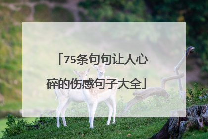 75条句句让人心碎的伤感句子大全