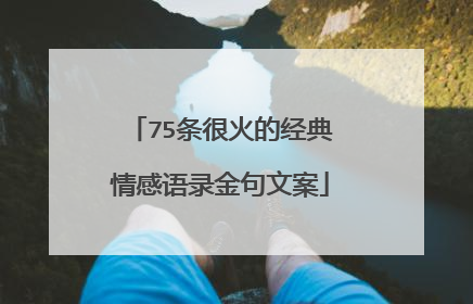 75条很火的经典情感语录金句文案