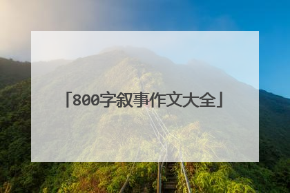 800字叙事作文大全
