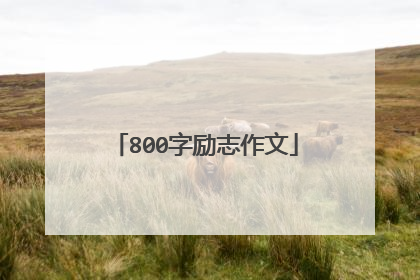 800字励志作文