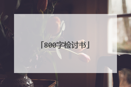 800字检讨书