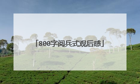 800字阅兵式观后感