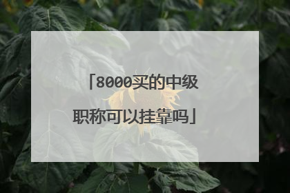 8000买的中级职称可以挂靠吗