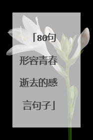80句形容青春逝去的感言句子