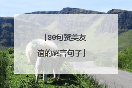 80句赞美友谊的感言句子