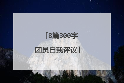8篇300字团员自我评议