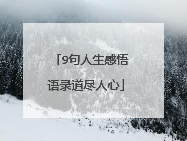 9句人生感悟语录道尽人心