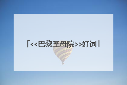 <<巴黎圣母院>>好词