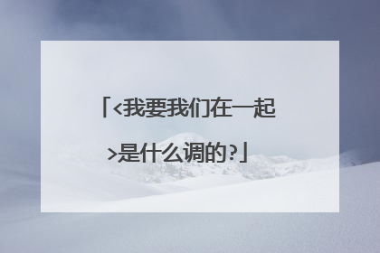 <我要我们在一起>是什么调的?