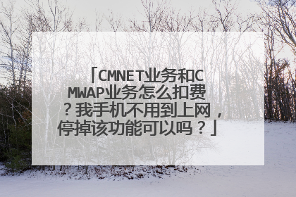 CMNET业务和CMWAP业务怎么扣费?我手机不用到上网,停掉该功能可以吗?