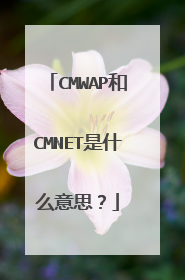 CMWAP和CMNET是什么意思？