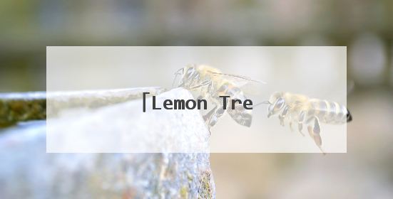 Lemon Tree尤克里里弹唱简谱