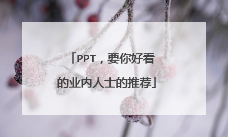 PPT，要你好看的业内人士的推荐