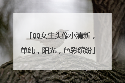 QQ女生头像小清新,单纯,阳光,色彩缤纷
