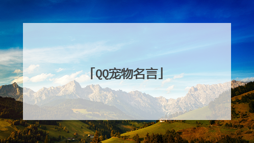 QQ宠物名言