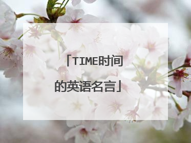 TIME时间的英语名言