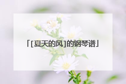 [夏天的风]的钢琴谱