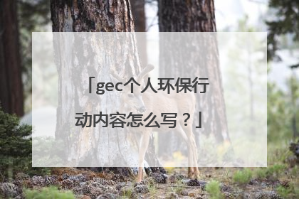 gec个人环保行动内容怎么写？
