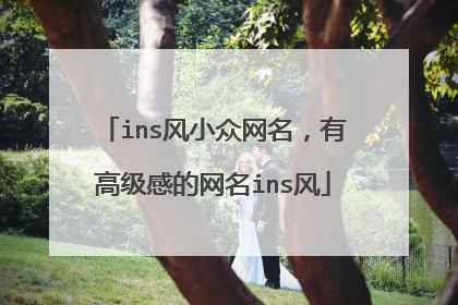 ins风小众网名，有高级感的网名ins风