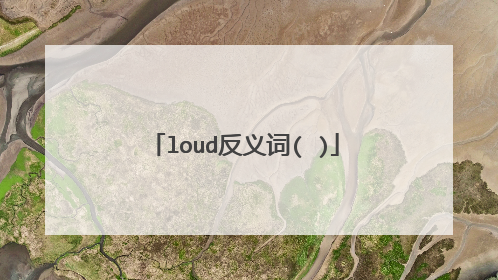 loud反义词( )