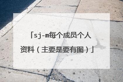 sj-m每个成员个人资料(主要是要有图)