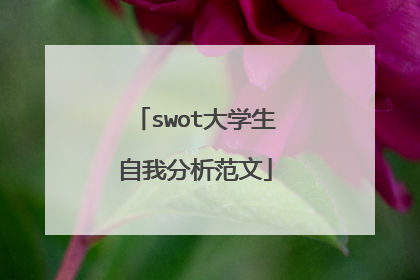 swot大学生自我分析范文