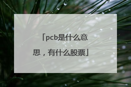 pcb是什么意思,有什么股票